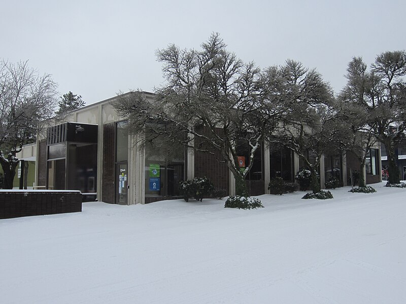 File:Snow in Southeast Portland, Oregon - February 2021 - 79.jpg