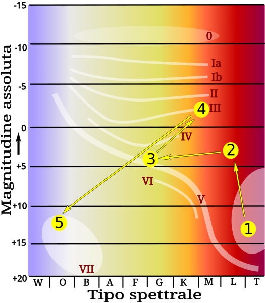 File:Sol evolution H-R diagram.svg