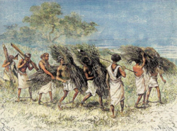 Slaves in legcuffs to prevent fleeing upon their return from working the fields. Under the watchful eye of a Somali master armed with a spear (waran) Somali Waran.png
