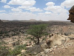 The Somaliland countryside.