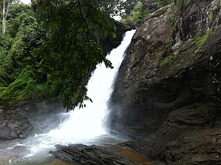 <span class="mw-page-title-main">Soochipara Falls</span> Waterfall in Kerala, India