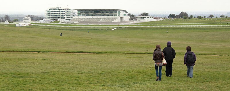 File:Spring in Epsom (6983331404).jpg