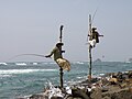 Pêche sur échasse au Sud-Est de Galle - Sri Lanka