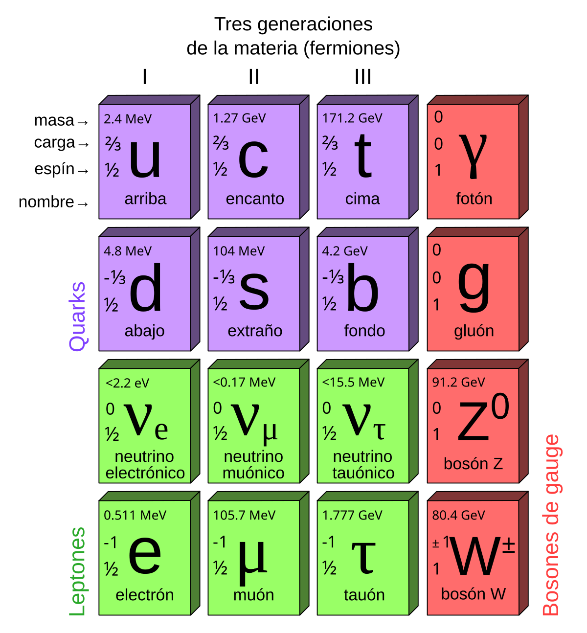 File:Standard Model of Elementary  - Wikimedia Commons