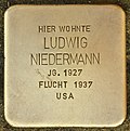 Stolperstein für Ludwig Niedermann (Frankenwinheim).jpg