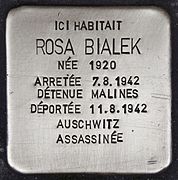 Rosa Bialek, rue de la Régence, 80 à Charleroi.