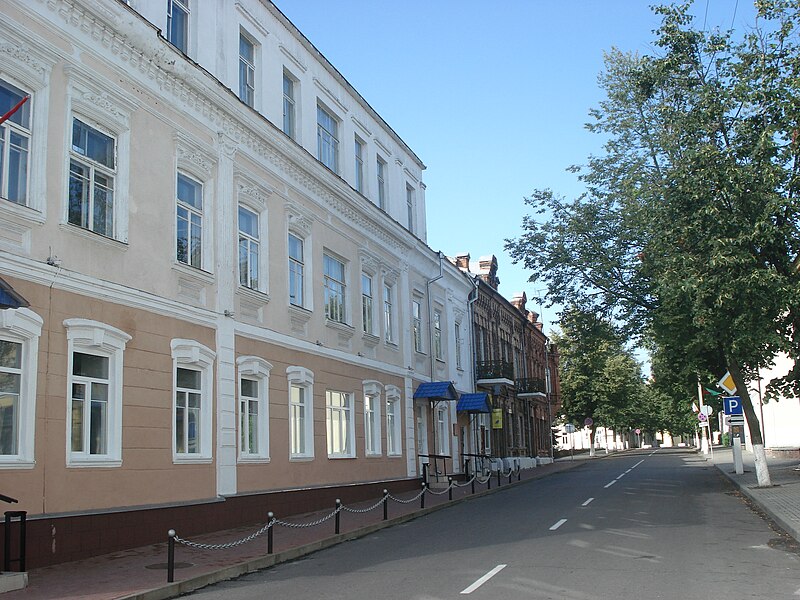 File:Street, Pinsk 1.JPG