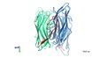 File:Structural-Insights-into-RbmA-a-Biofilm-Scaffolding-Protein-of-V.-Cholerae-pone.0082458.s005.ogv