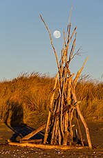 Thumbnail for File:Structure from driftwood on the beach in New Brighton, Christchurch, New Zealand.jpg