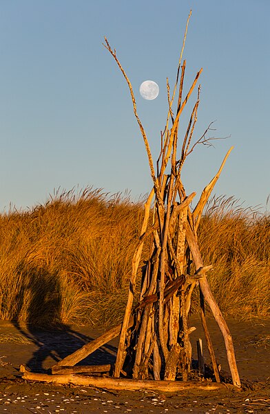 File:Structure from driftwood on the beach in New Brighton, Christchurch, New Zealand.jpg