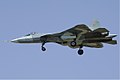 Sukhoi T-50 Pichugin 2.jpg