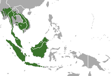 Sunda Pangolin daerah.png