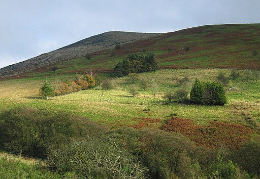 Sunlight near Corndon Hill - geograph.org.uk - 3210644