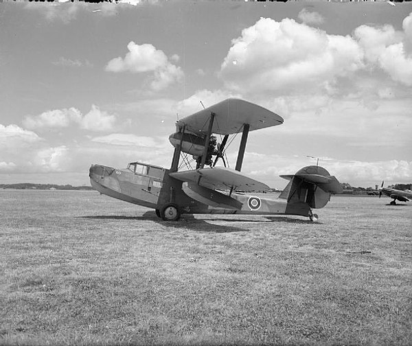 Supermarine Walrus, an example of the type used by 'D' flight