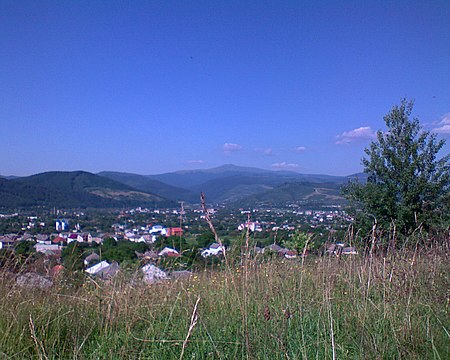 Svaliava (huyện)