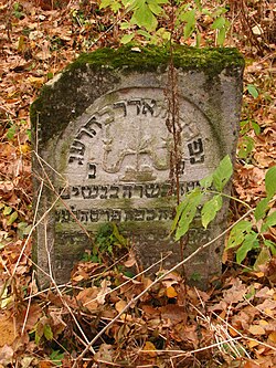 Szczebrzeszyn, ul. Cmentarna, cmentarz żydowski (ID 608007) 19.jpg
