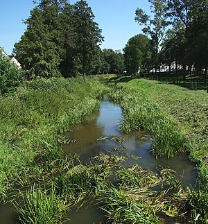 Szczekociny Pilica 12.08.08 p2.jpg