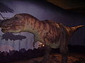 T. rex 2 NHM.JPG