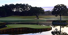 TPC Sawgrass 17.jpg