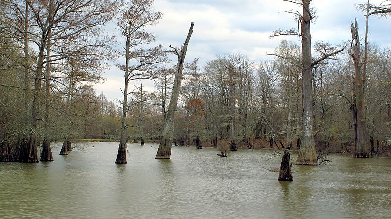 File:Tallahatchie National Wildlife Refuge.jpg