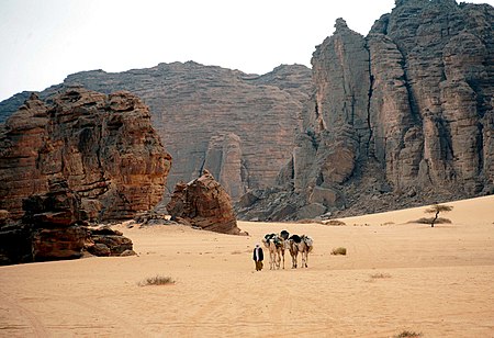 Tassili n'Ajjer