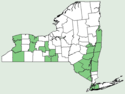 Thalictrum thalictroides NY-dist-map.png