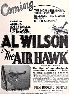 The Air Hawk (1924) - 1.jpg