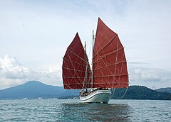 The pinas Naga Pelangi sailing butterfly