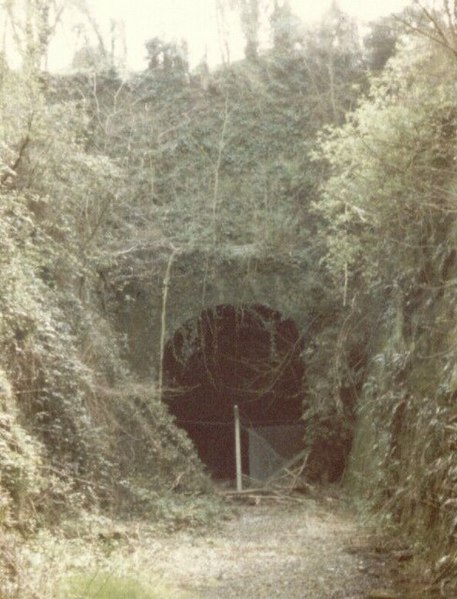 File:Thornbury Tunnel - geograph.org.uk - 243897.jpg