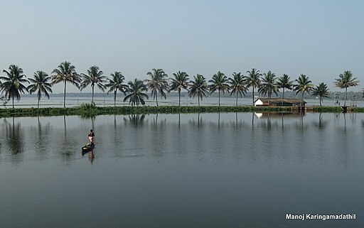 Thrissur Kole Wetlands May 2015 DSC04374