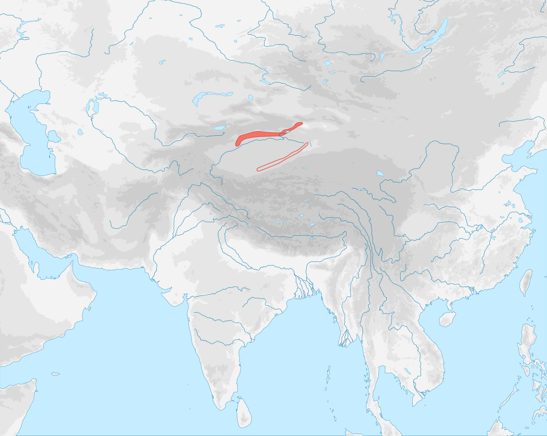 Tocharian languages