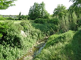 Corbel torrent, florence.JPG