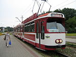 Tram 46 Lodz 2.jpg