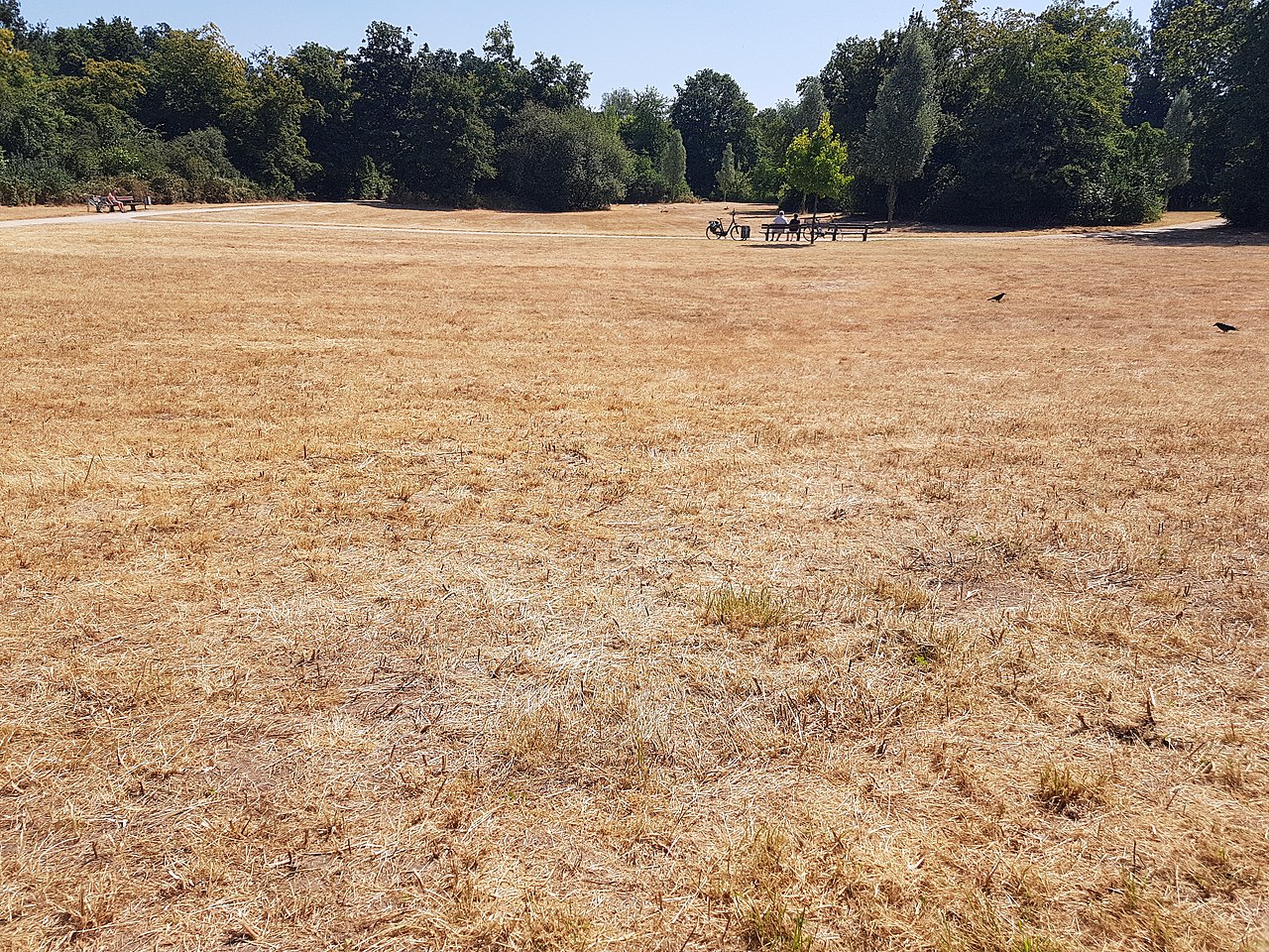 Seine Mitglieder stehen ja tatsächlich „an der Frontlinie des Klimawandels“ Gerade Landwirte erleben seine Folgen seit langem auch schon in Jahren ohne