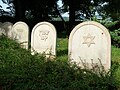 English: Symbolic tombstones of 41 Jewish women and girls in the cemetery in the town of Trutnov, Hradec Králové Region, Czech Republic. The ladies, having worked in the local textile plants druring WWII, were originally burried at diferent places and their relics were moved here and put in a mass tomb after 1945. Čeština: Symbolické náhrobky 41 žen a dívek, nasazených v trutnovských textilkách, na městském hřbitově v Trutnově, Královéhradecký kraj, uložených zde v hromadném hrobě po roce 1945 po přemístění z jednotlivých původních míst.