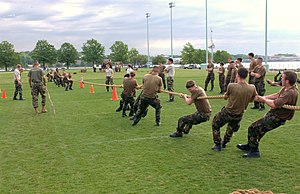 Tug of war 2.jpg