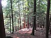 Tully Trail, Jacobs Hill, Royalston MA.jpg