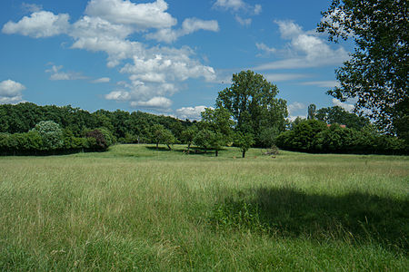 Turmhügel Hausen01