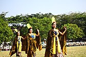 Universitas Gadjah Mada: Sejarah, Fakultas, Sekolah Vokasi (D4)Sarjana Terapan