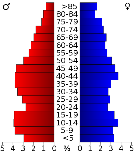 2000 census age pyramid for Alexander County.