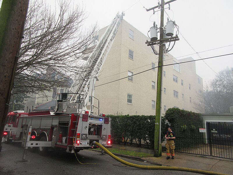 File:Uptown New Orleans 20th Feb 2019 06.jpg