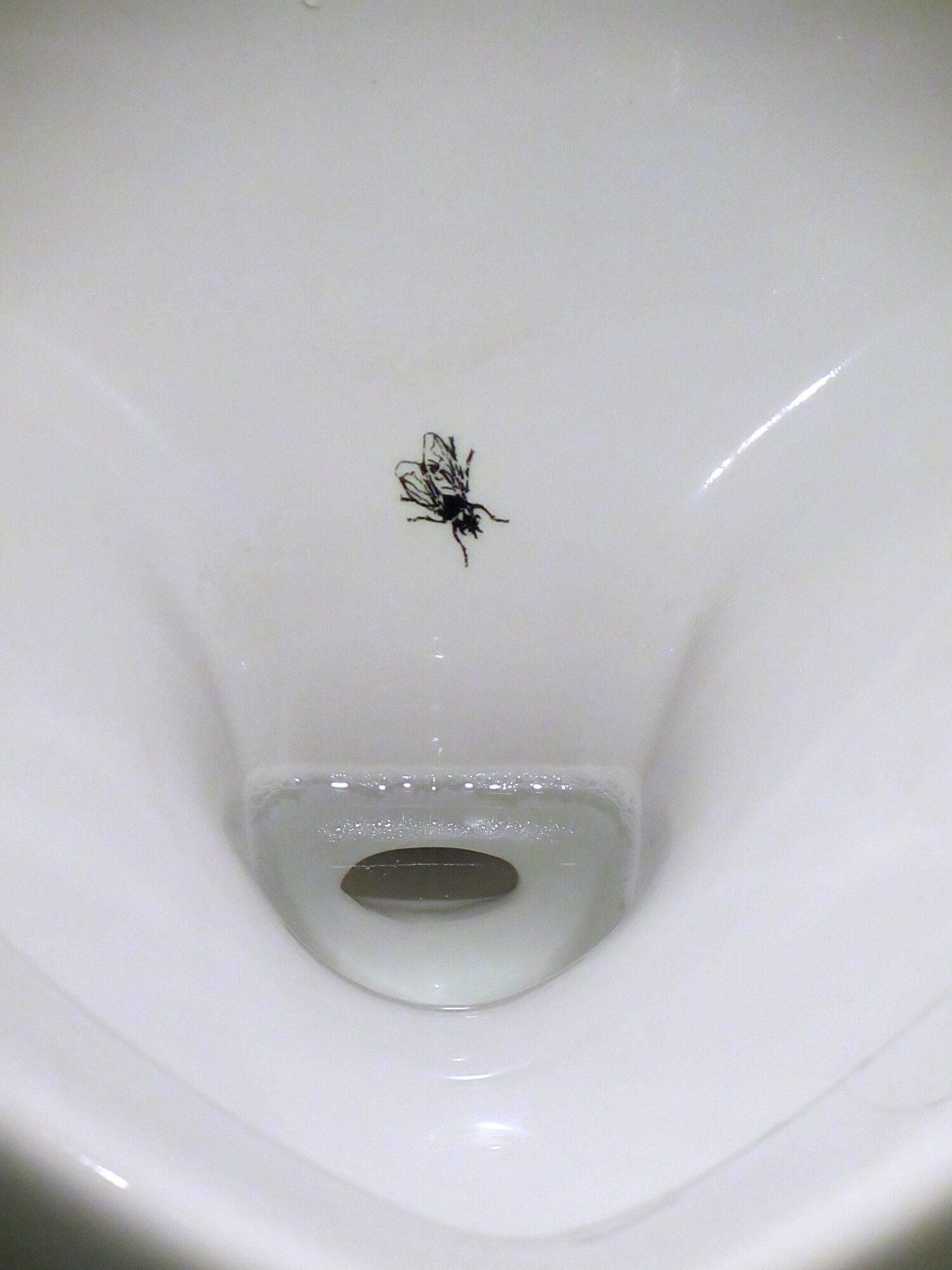 Urinal FLy2.jpg