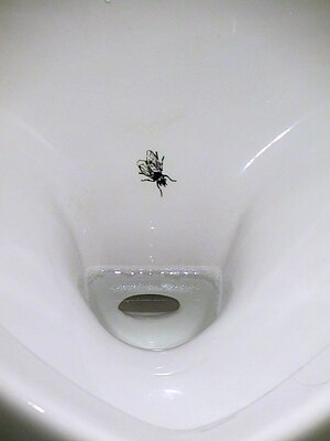 Urinal FLy2.jpg