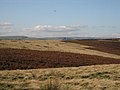 View across Abney Moor - geograph.org.uk - 256950.jpg