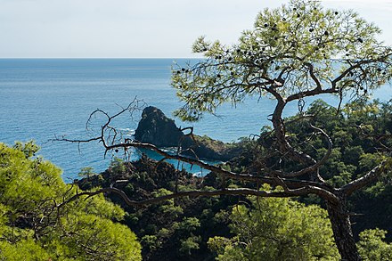A view near Çıralı