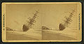 File:View of the W.F. Marshall wreck, by Freeman, J. (Josiah) 2.jpg