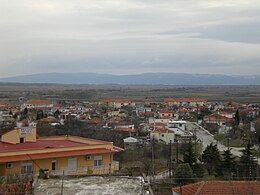 Bilgi kutusundaki görüntü.