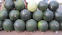 Watermelon for sale.jpg