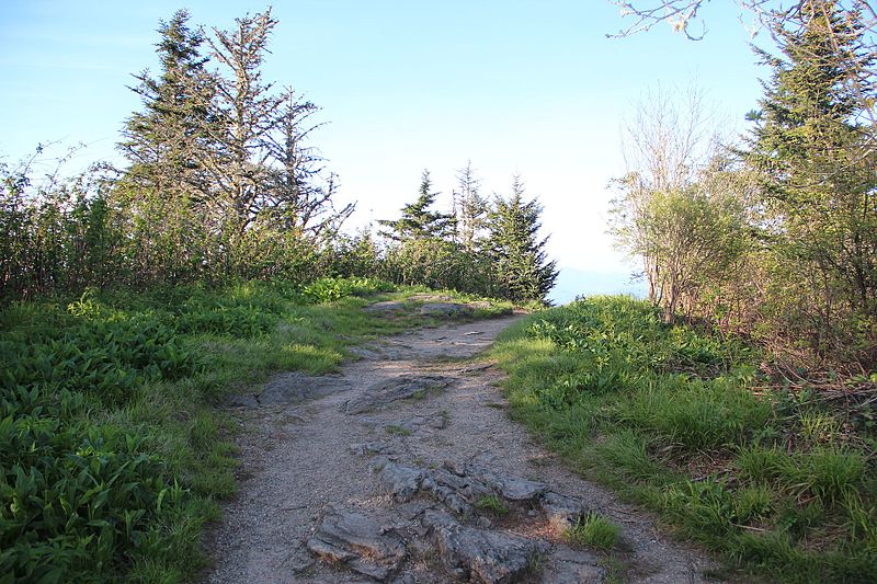 File:Waterrock Knob summit, May 2017.jpg