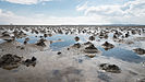 Wattwurmhaufen im Wattenmeer